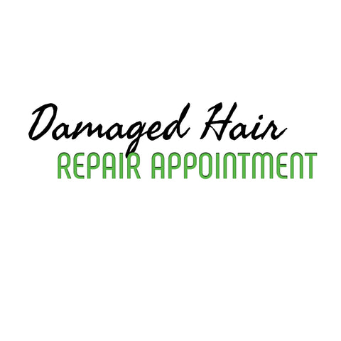Hair Damage Repair Appointment